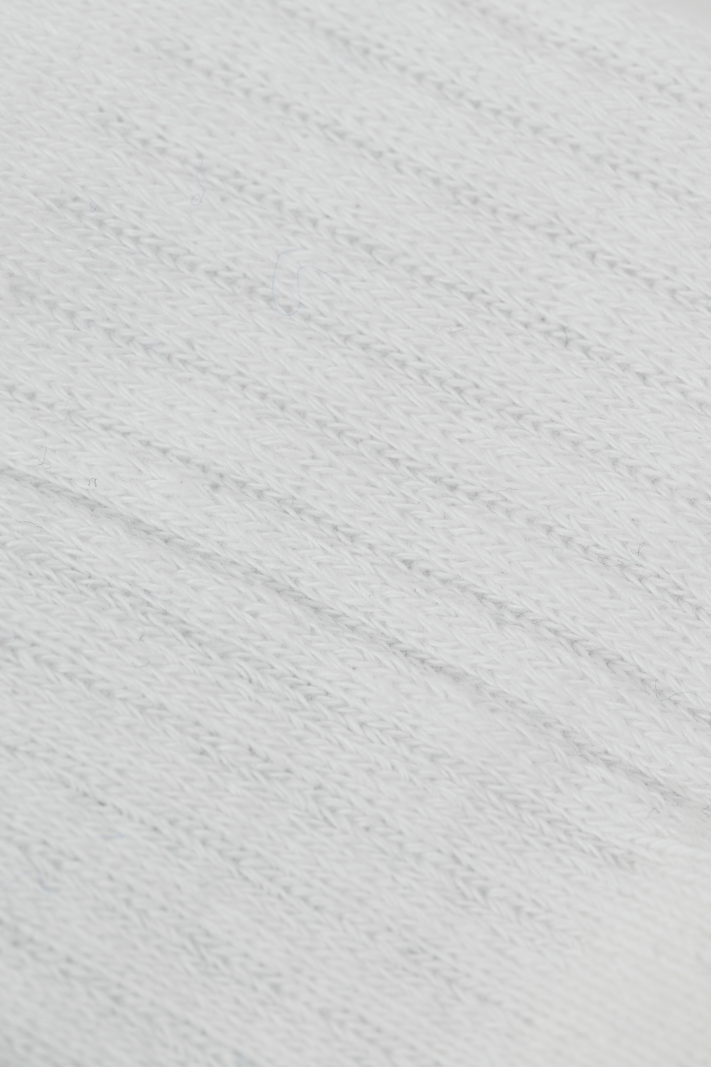 Toronto Blue Jays Ladies 2-Pack Knee-High Socks, MLB Baseball Socks with Team Wordmark