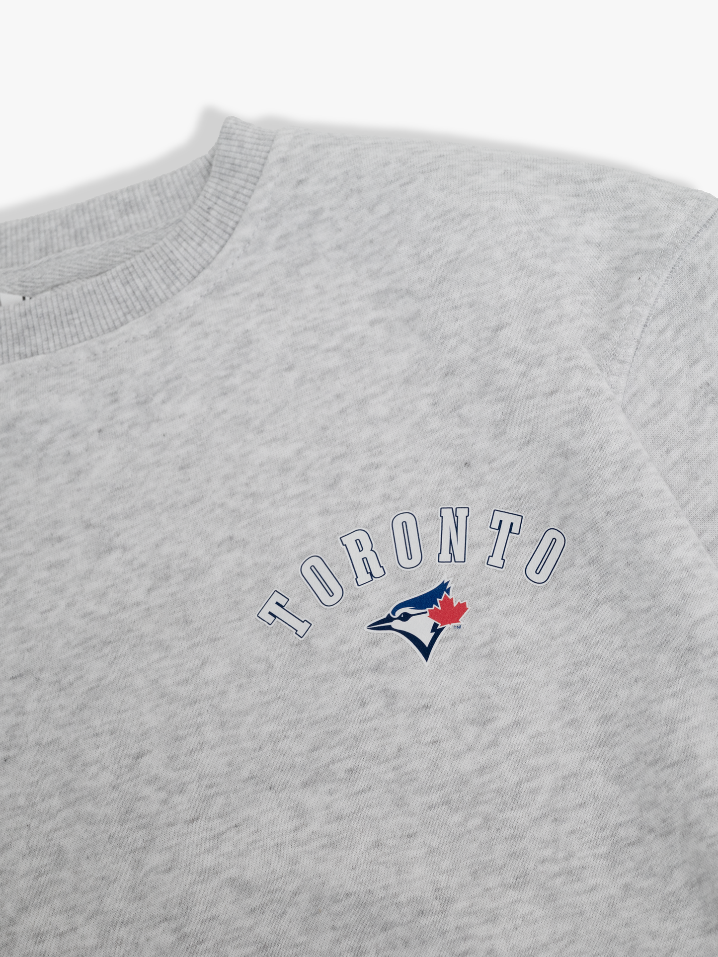 Family Collection Toronto Blue Jays Kids Crewneck Sweatshirt MLB Pullover, Heather Grey French Terry, Youth