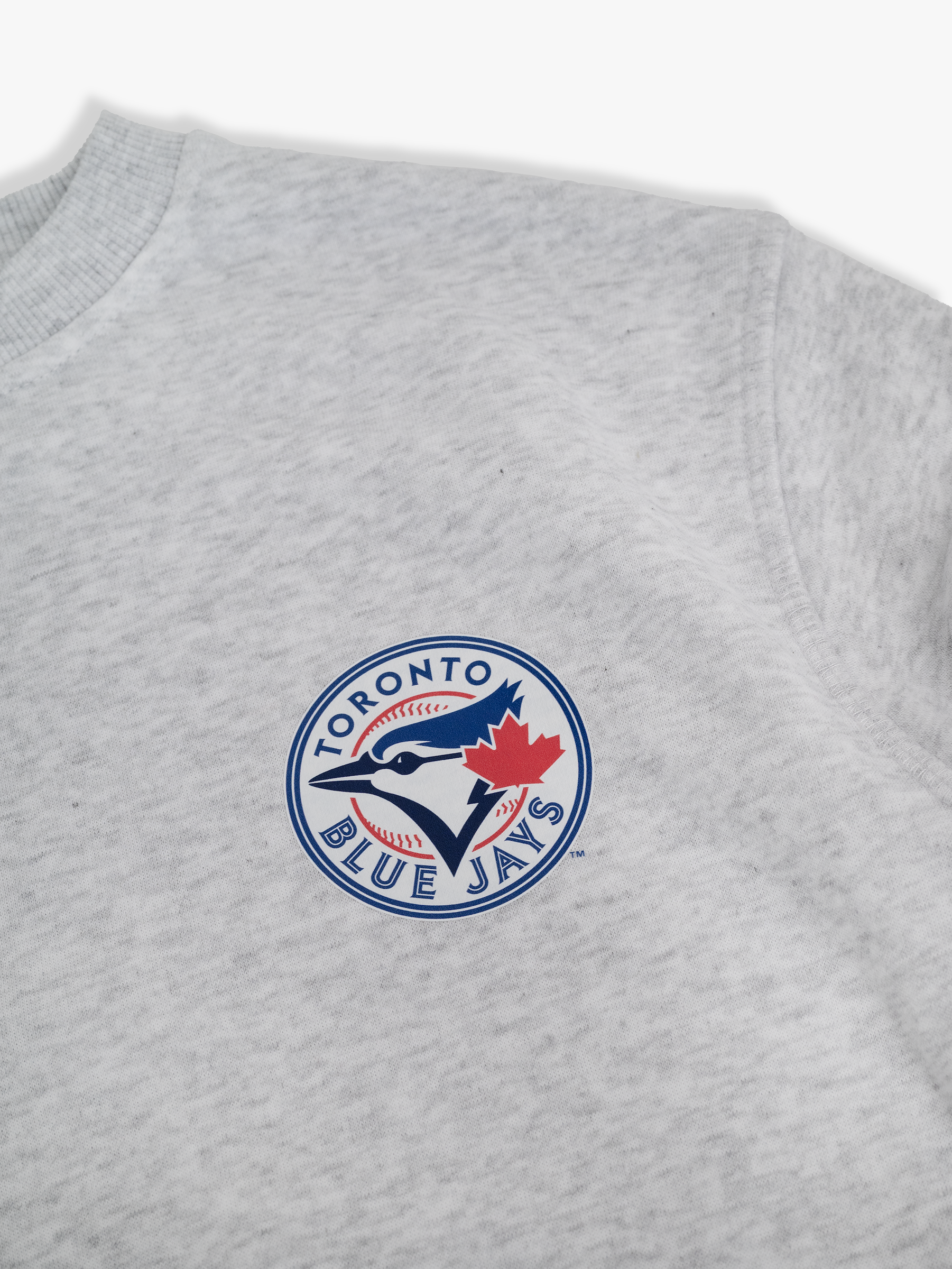 Toronto Blue Jays Kids Crewneck Sweatshirt Family Programme Pullover, Heather Grey French Terry, Youth