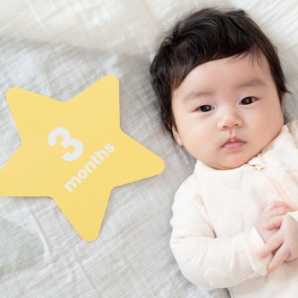 Snugabye Baby 12 Months Milestone / Photo Blanket